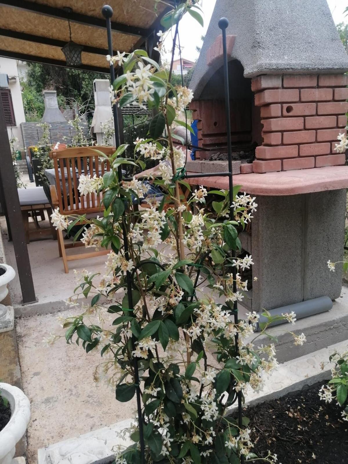 Appartement Kursan *